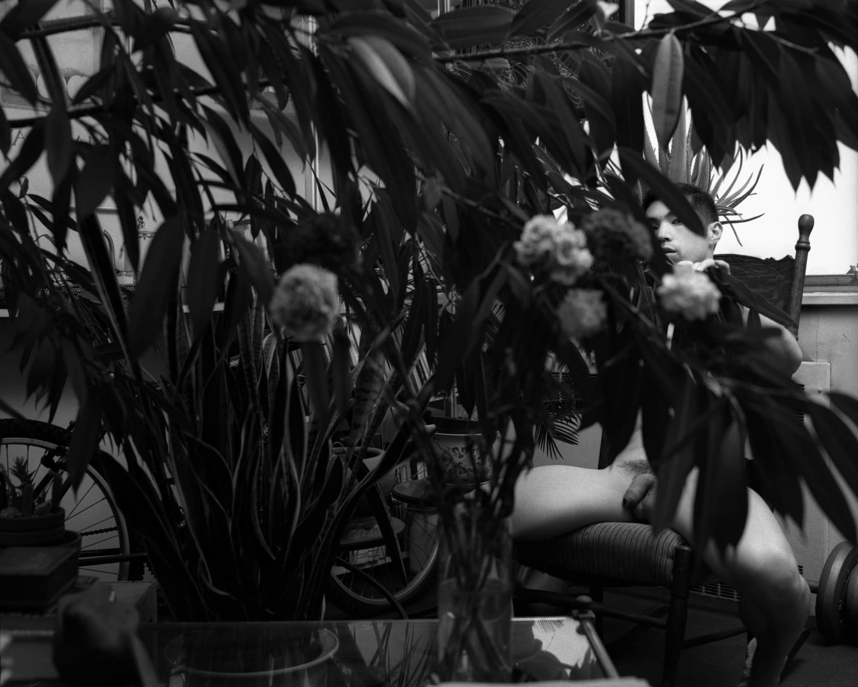 Shen Wei, Flowers, 2004