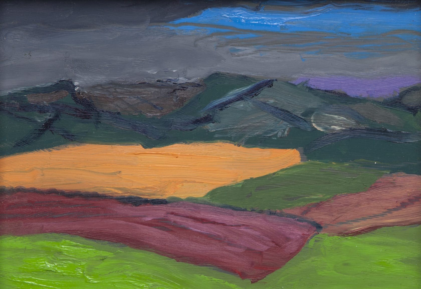 Lucy Jones Orange Field, 2016