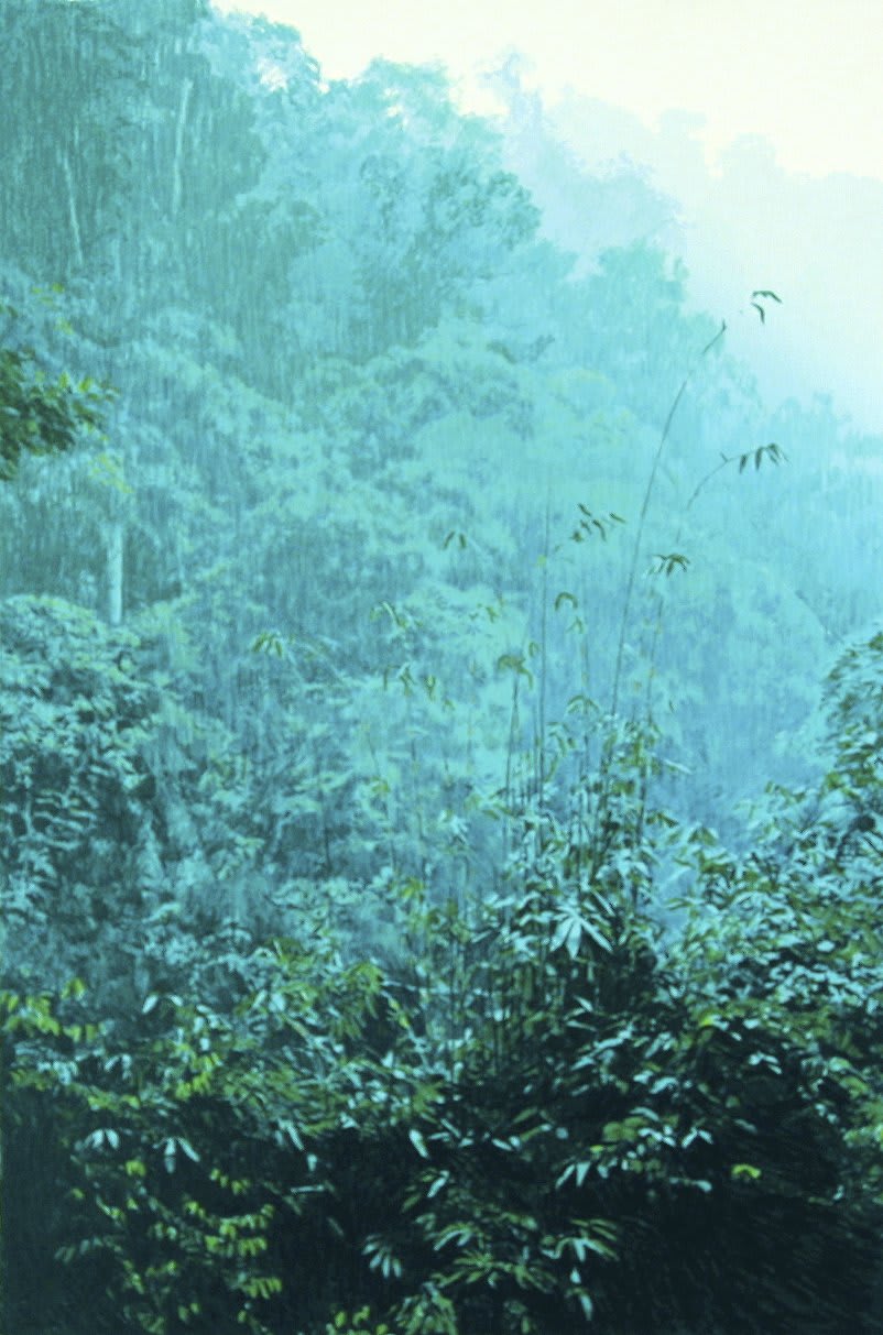 Boyd & Evans Rain, 1993