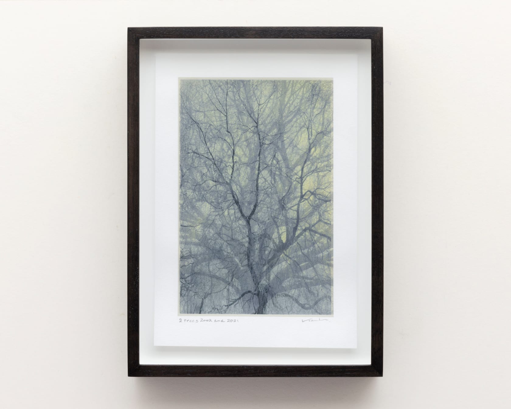 Nadav Kander, 2 Trees 2002 and 2021, 2022
