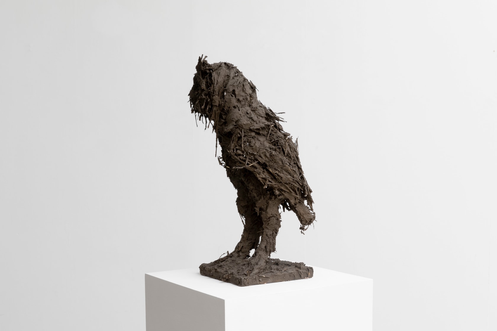 Nicola Hicks, Being an Owl, 2020
