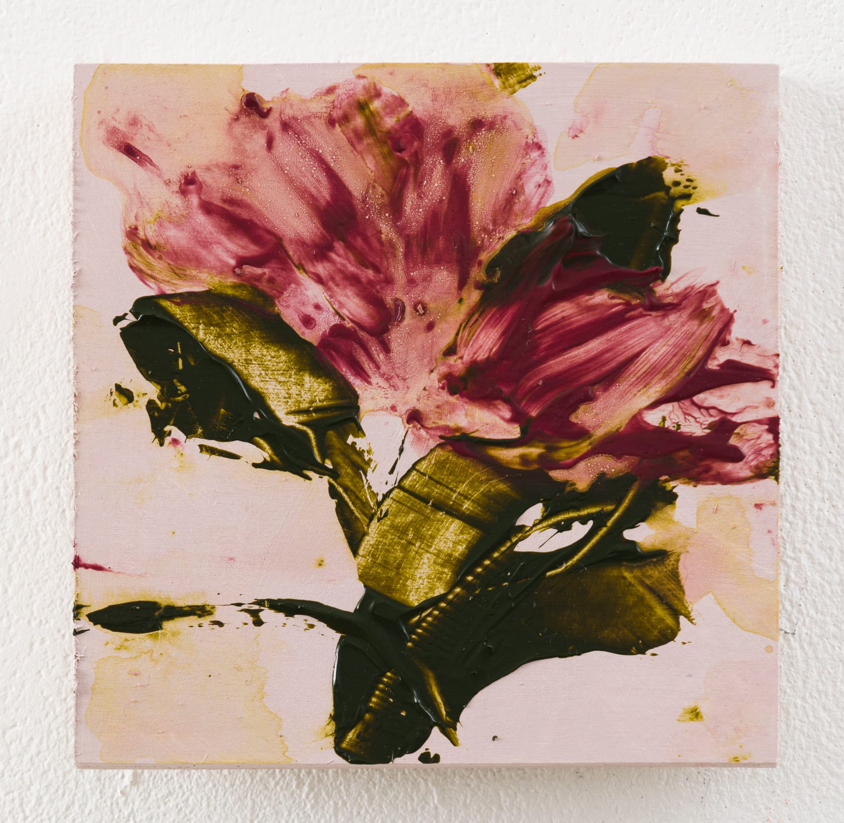 Bianca Raffaella Potter’s Rose, 2024