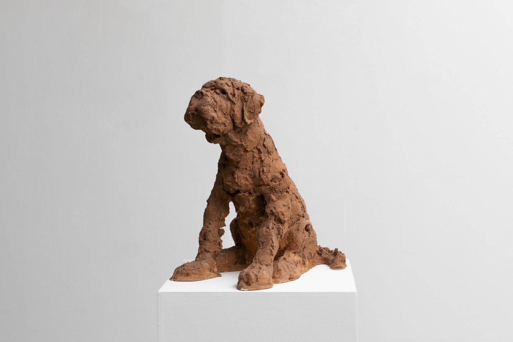 Nicola Hicks, Puppy, 2021