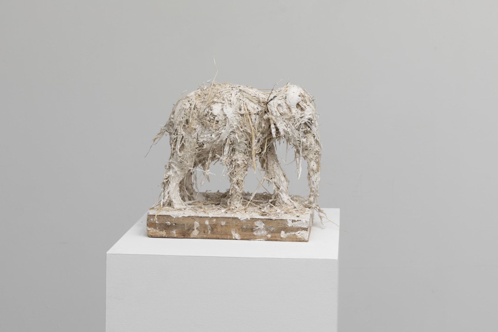 Nicola Hicks, Elephant, 2019