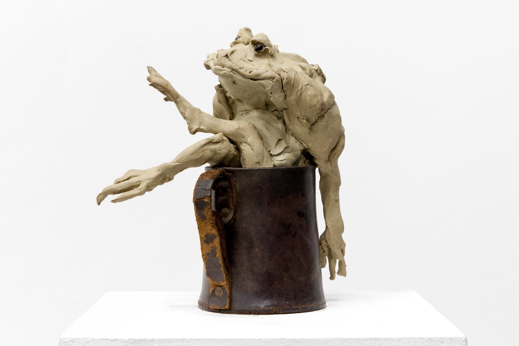 Stephanie Quayle Tankard Toad, 2016