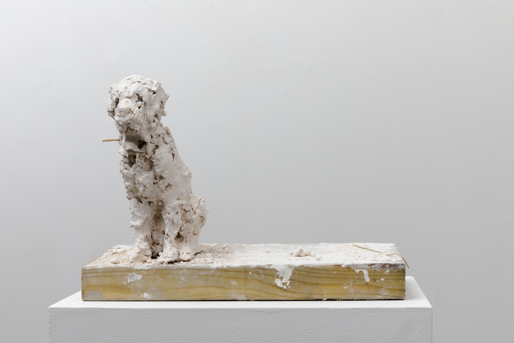 Nicola Hicks, Plato 2, 2019