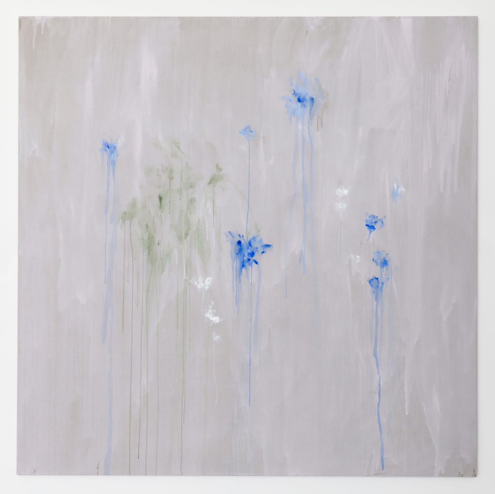 Bianca Raffaella Baby Blue, 2025