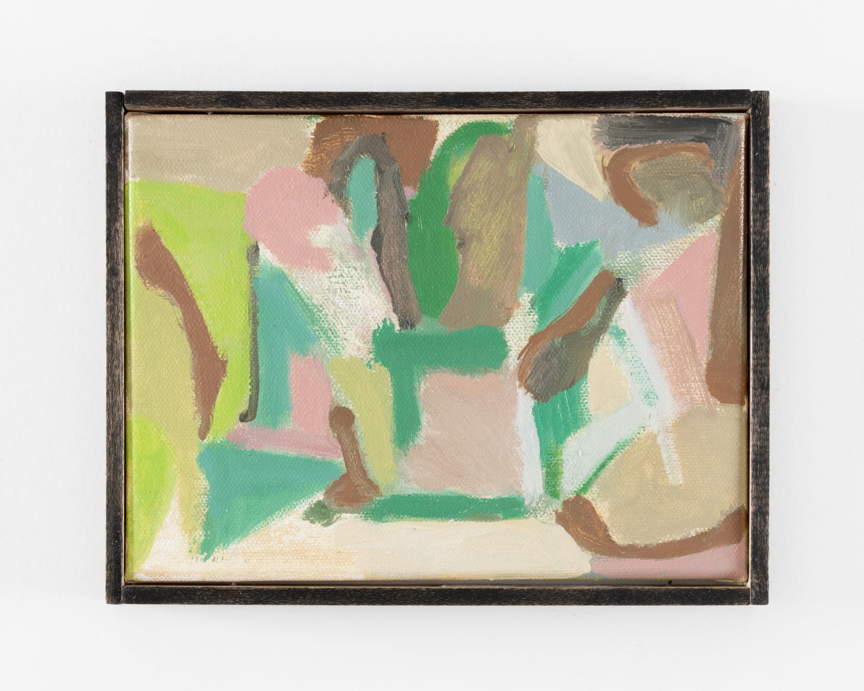 Paul Andrews Garden Visit, 2021