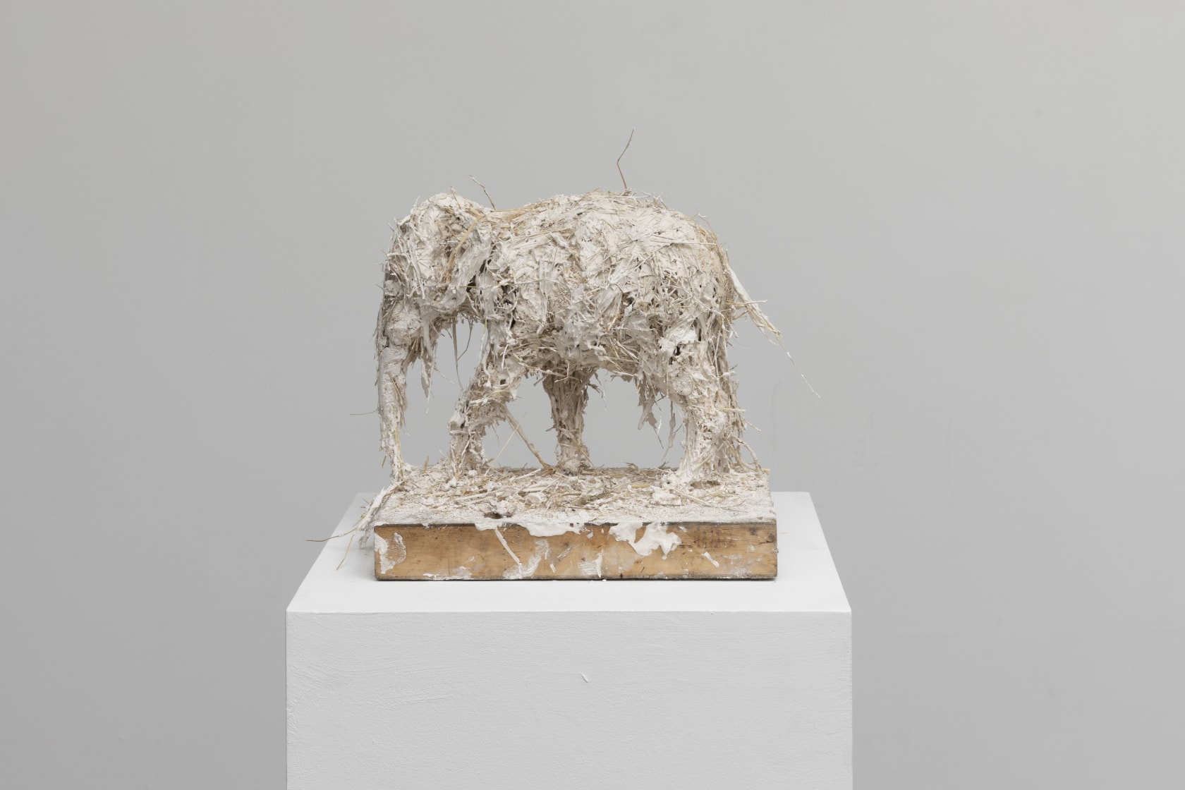 Nicola Hicks, Elephant, 2019