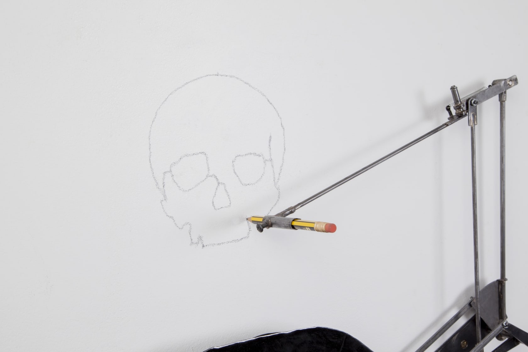 Tim Lewis, Skull, 2016