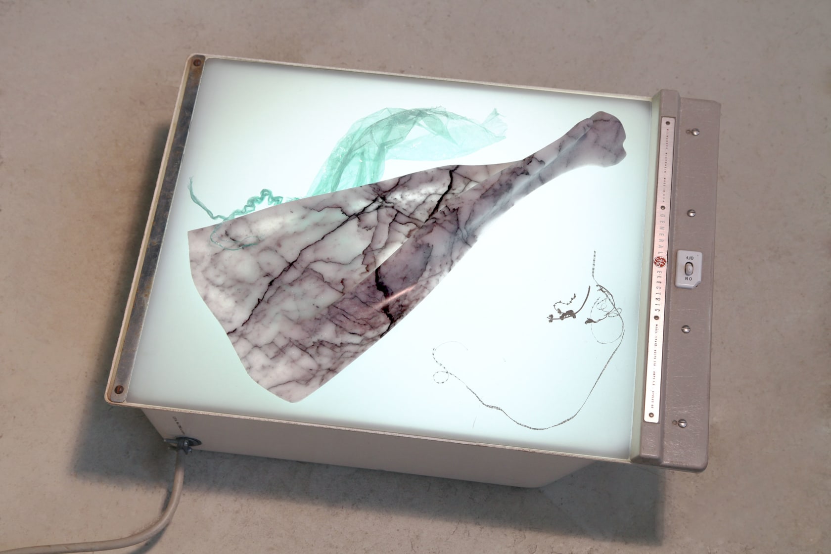 Stephen Shaheen Relitto, 2018