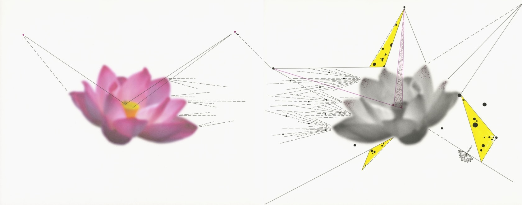 Shen Wei, Two Lotuses, 2013