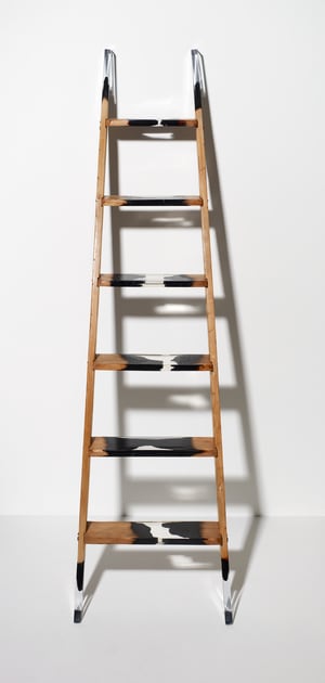 Nancy Fouts, Ladder, 2011 | Flowers Gallery