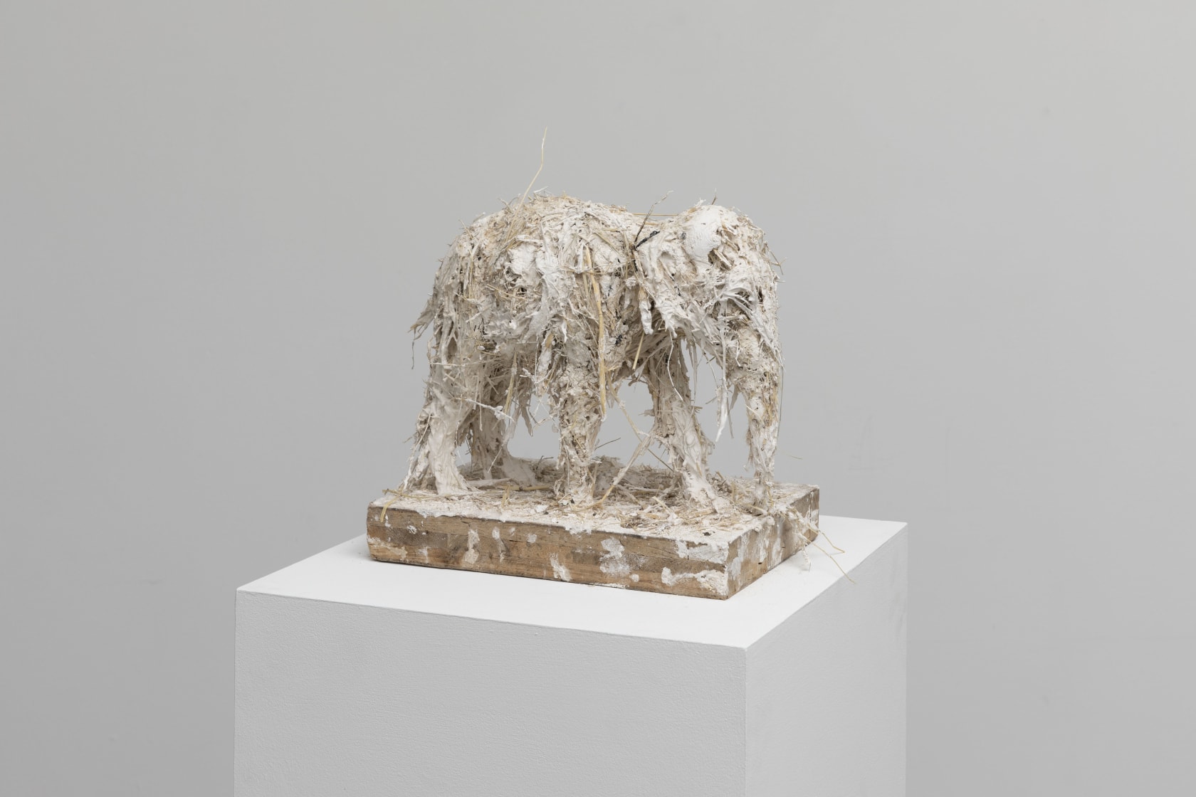 Nicola Hicks, Elephant, 2019