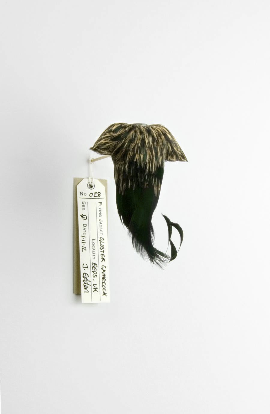 Jane Edden 28 Gloster Gamecock, 2012