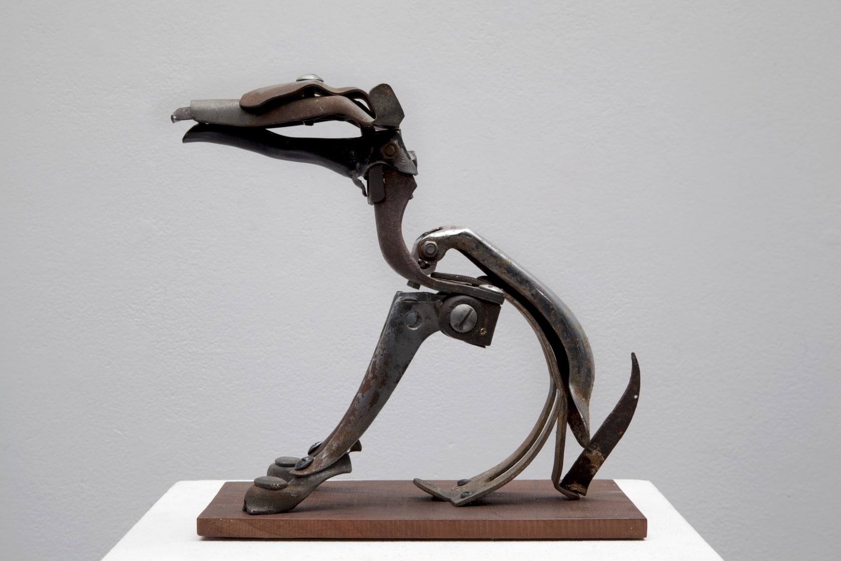 Emily Mayer Kleine Hundchen, 2016