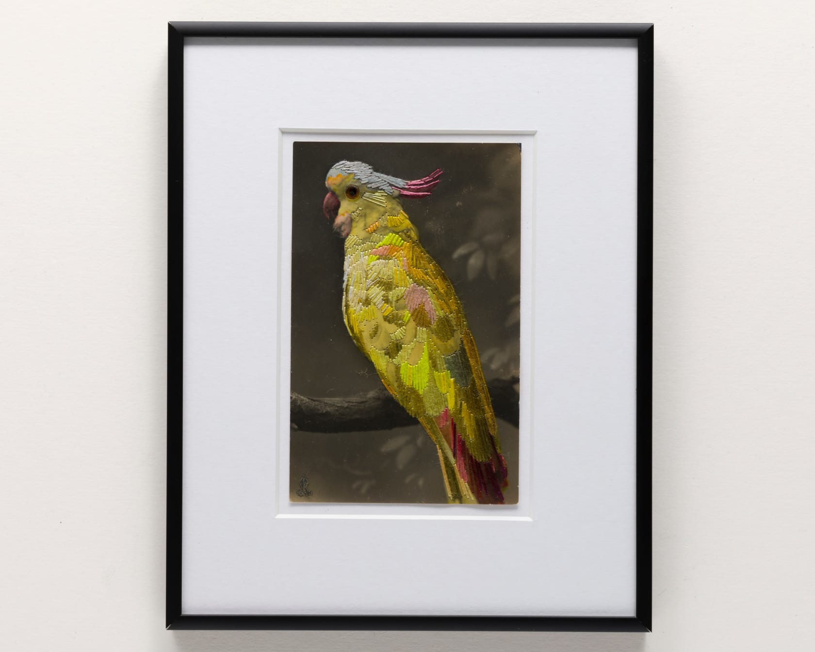 Julie Cockburn, Yellow Parrot, 2023
