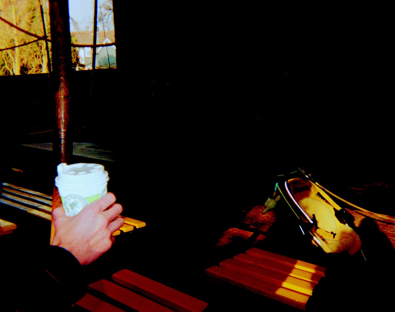 Natasha Caruana London Zoo, 2008-09