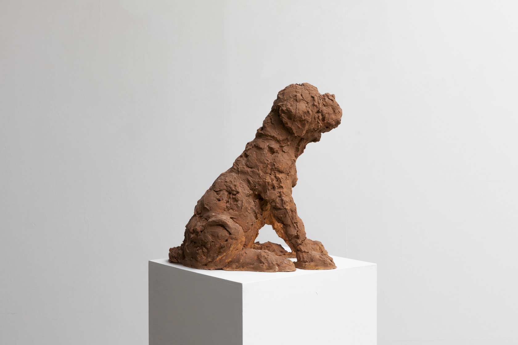Nicola Hicks, Puppy, 2021