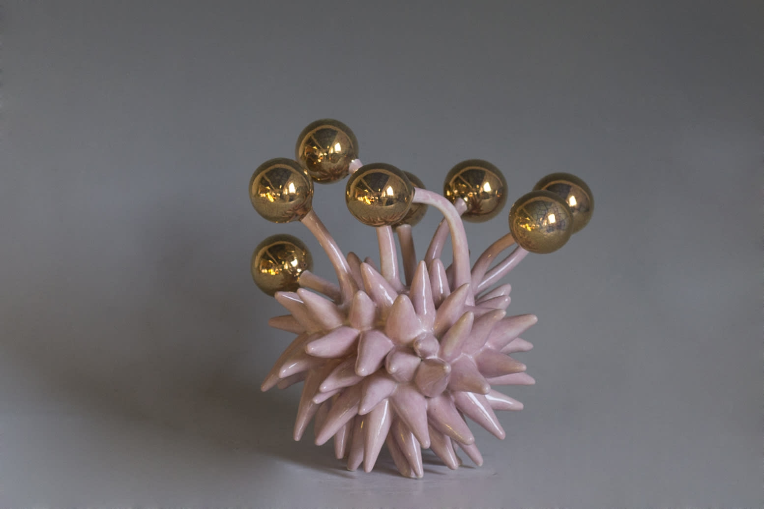 Charlotte Colbert Golden Balls, 2021