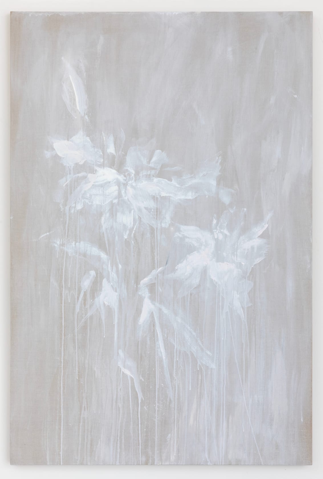 Bianca Raffaella, Beyond the Gaze (Stargazer Lily), 2025