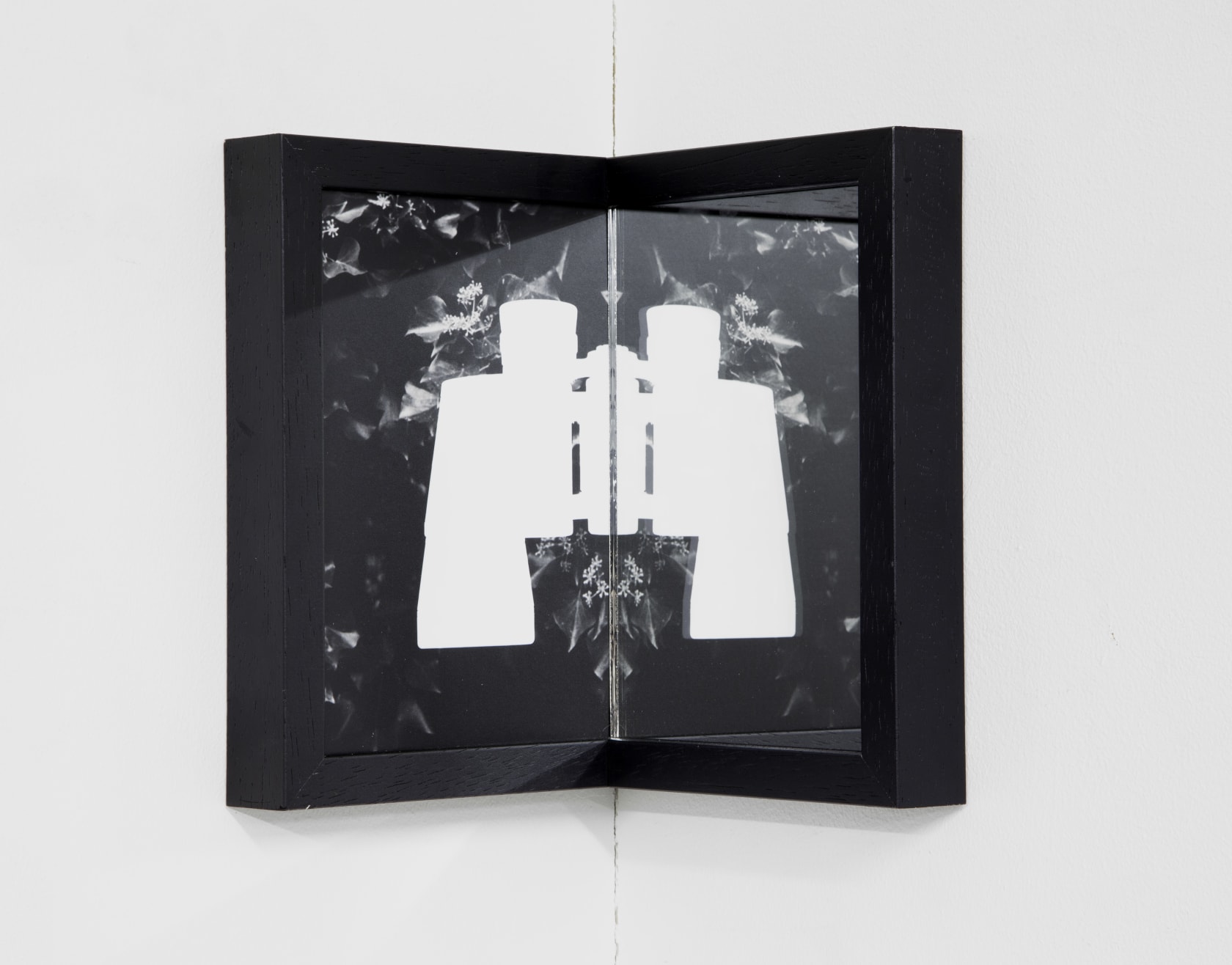 Paul Tecklenberg Pair, 2016