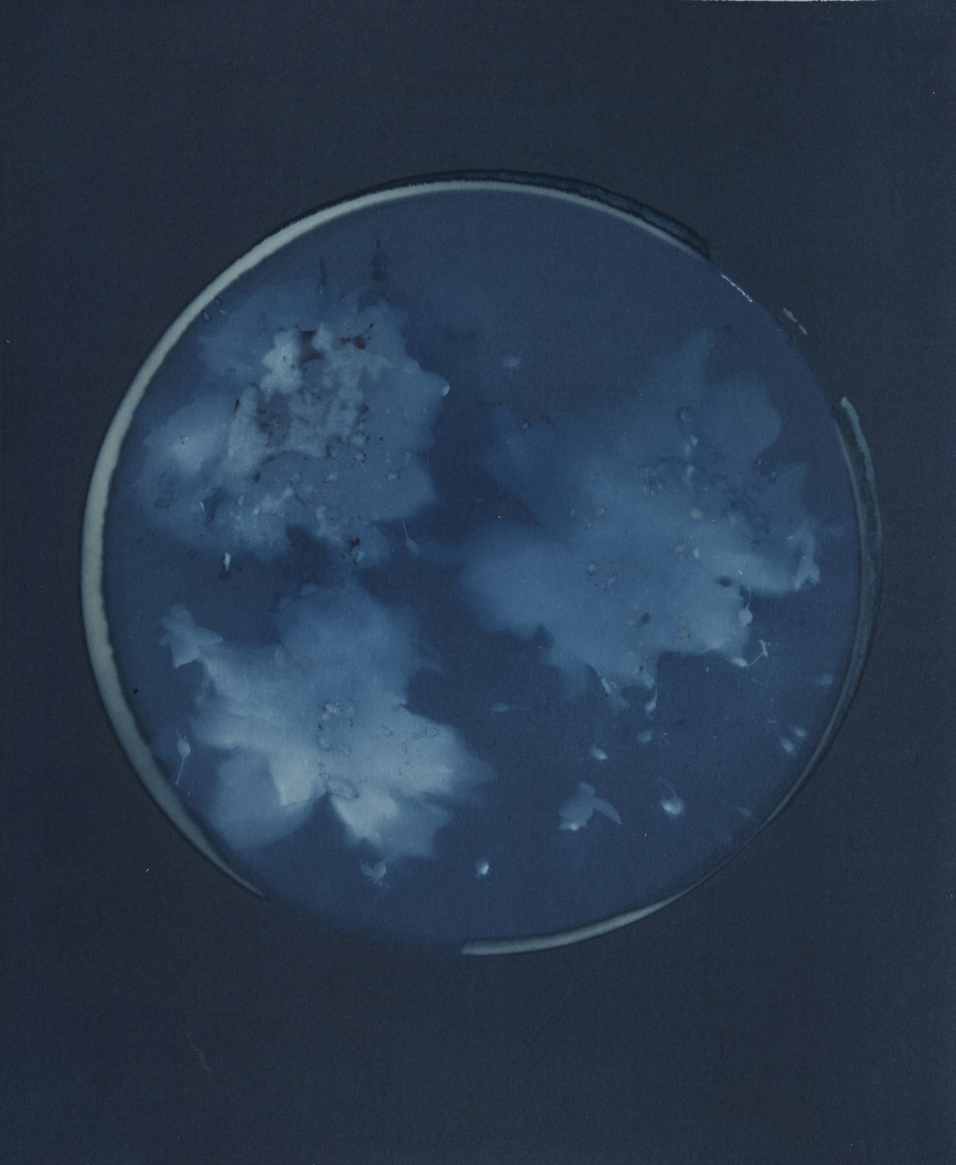 Janelle Lynch Eclipse, 2022