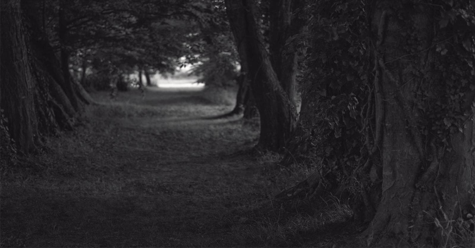 Mona Kuhn, Paysage 9, 2011