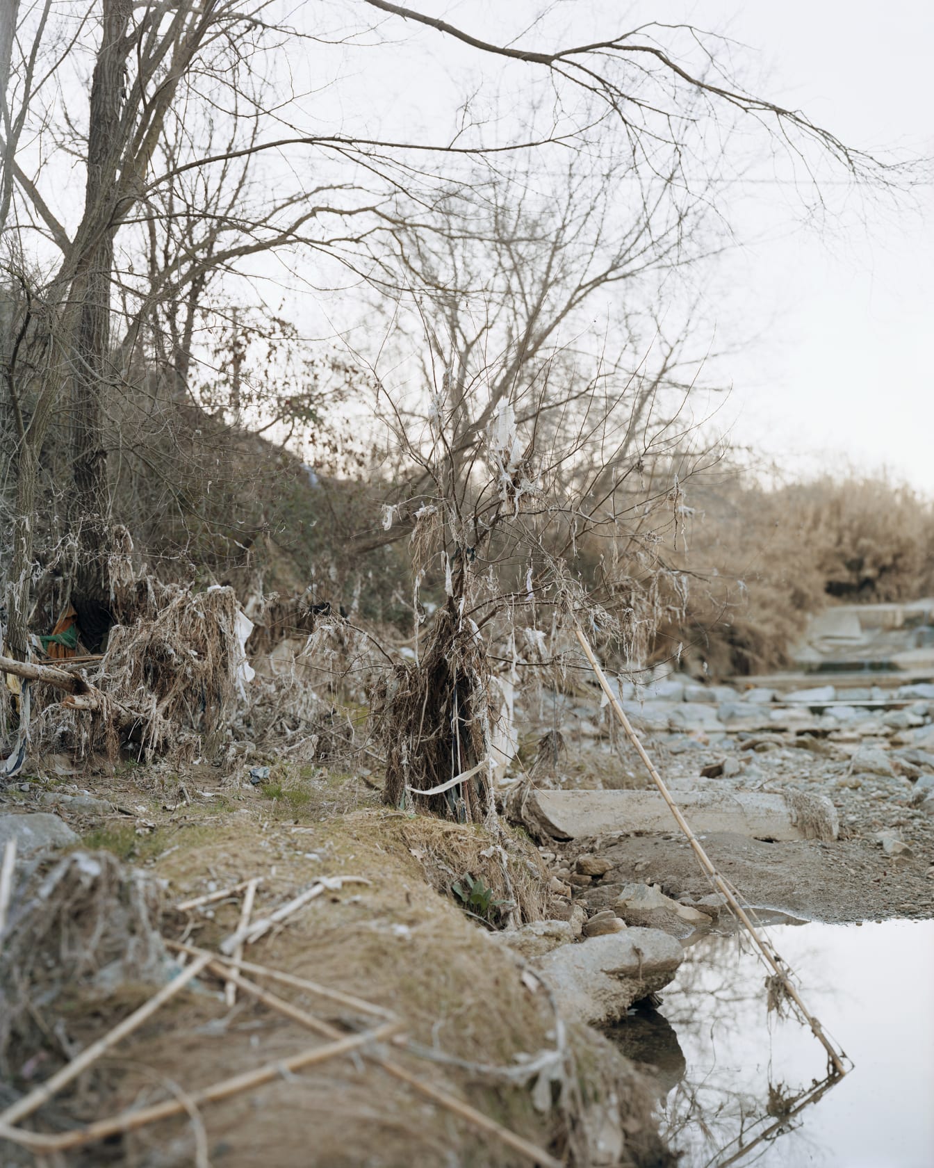 Janelle Lynch Portraits 7 (Barcelona), 2010