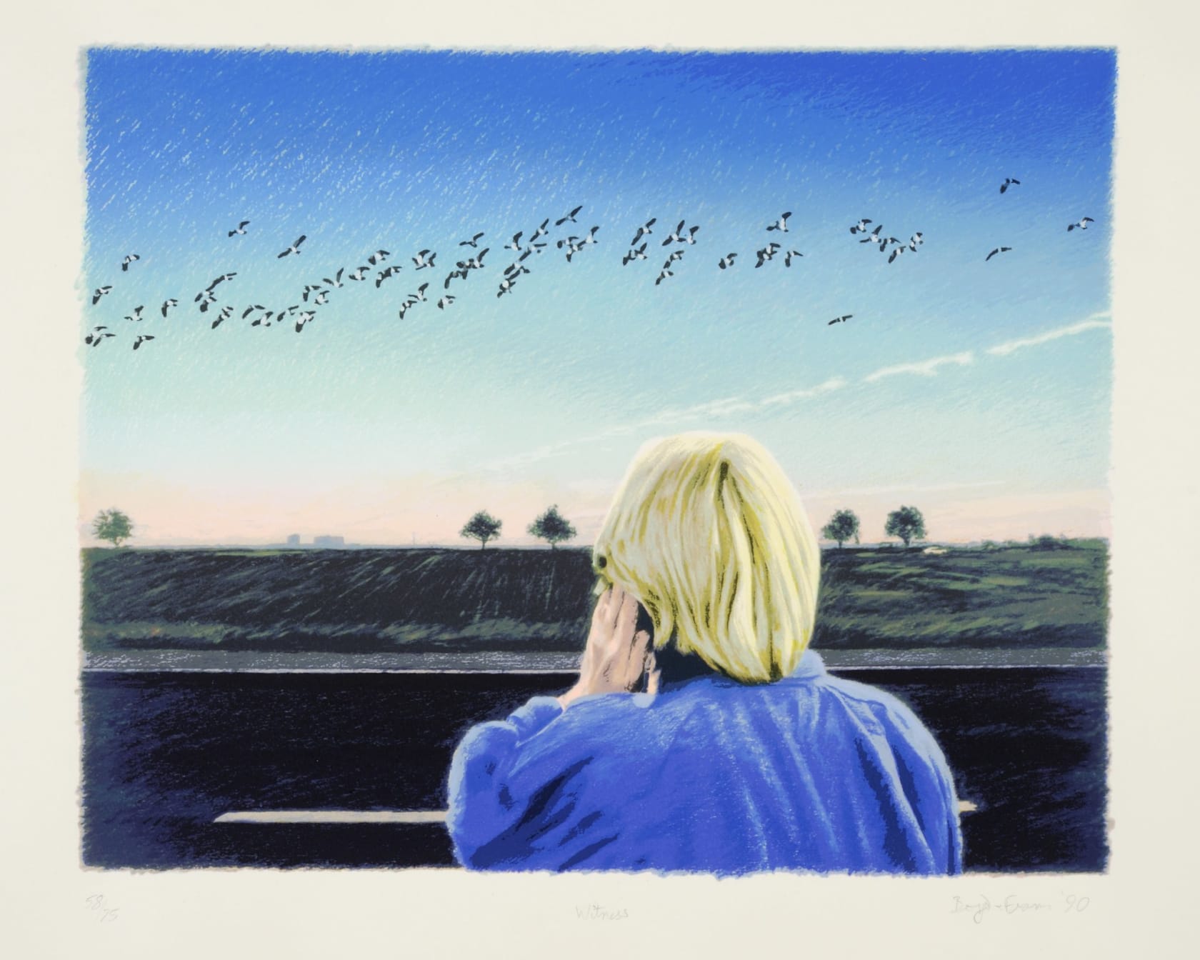 Boyd & Evans Bird/Witness, 1990