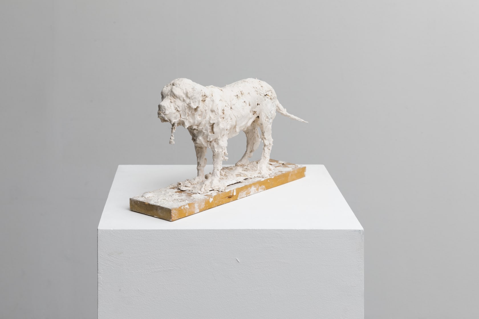 Nicola Hicks, Plato 1, 2019