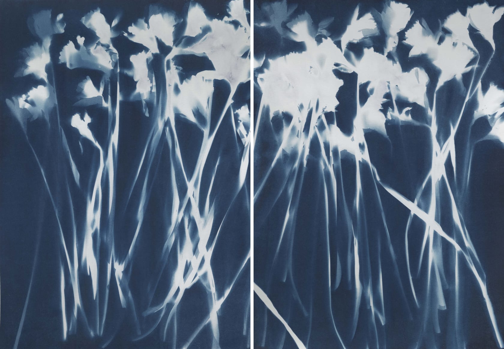 Janelle Lynch Fifty-Two Daffodils, 2022