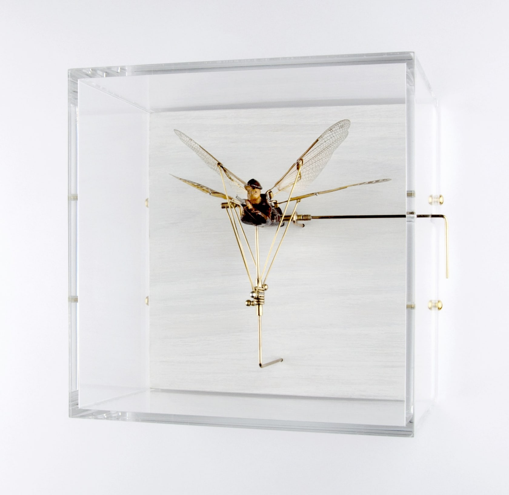 Jane Edden Poise, 2015