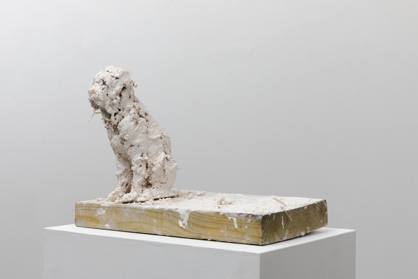 Nicola Hicks, Plato 2, 2019