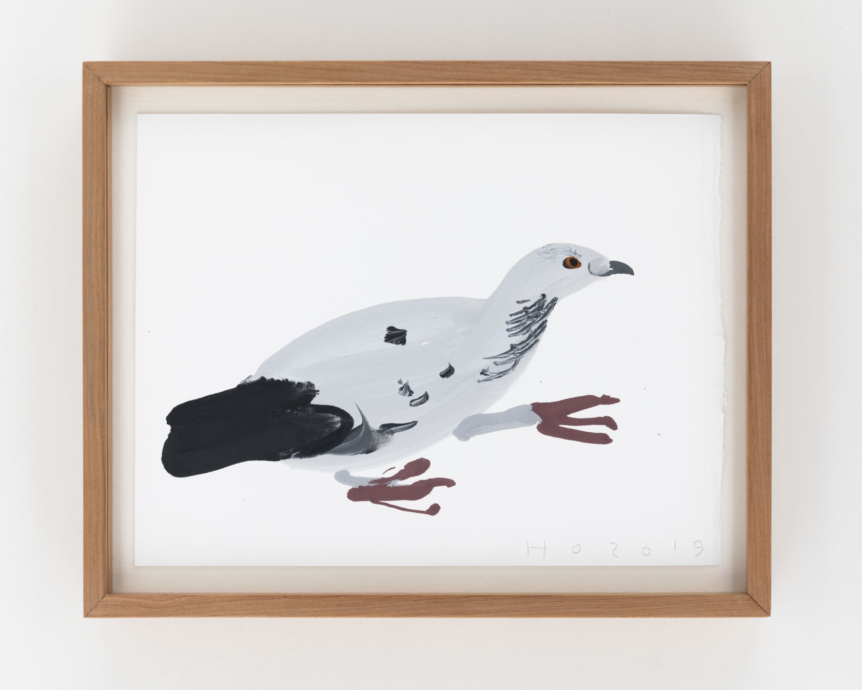 Humphrey Ocean Rock Pigeon, 2019