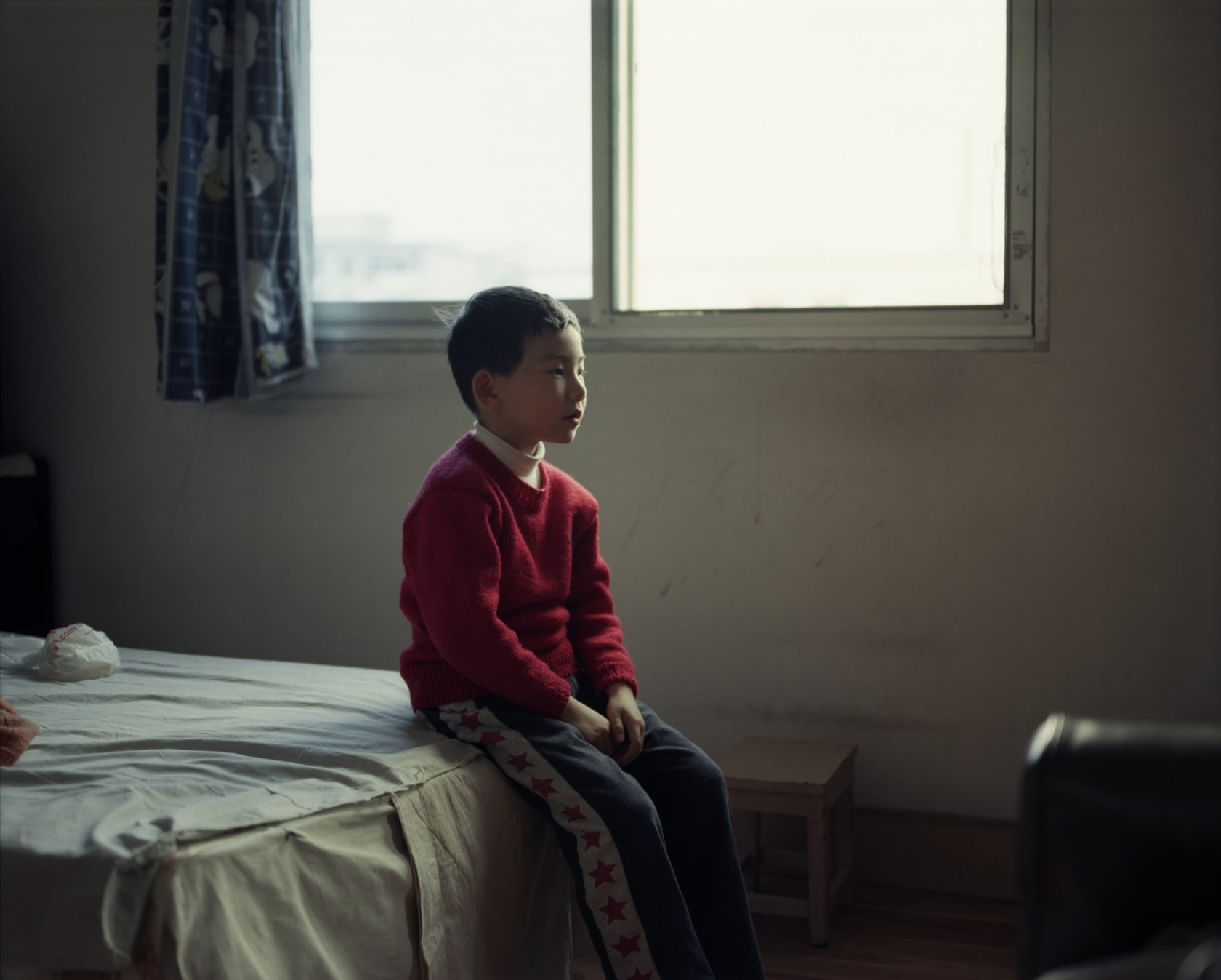 Shen Wei Zhehao, 2008