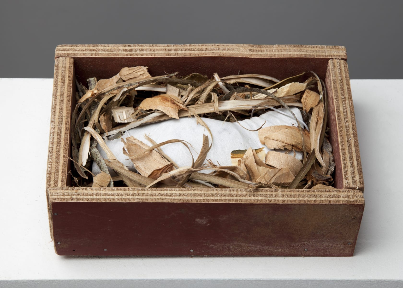 William Bachle Delivery for Elgin, L., 2013