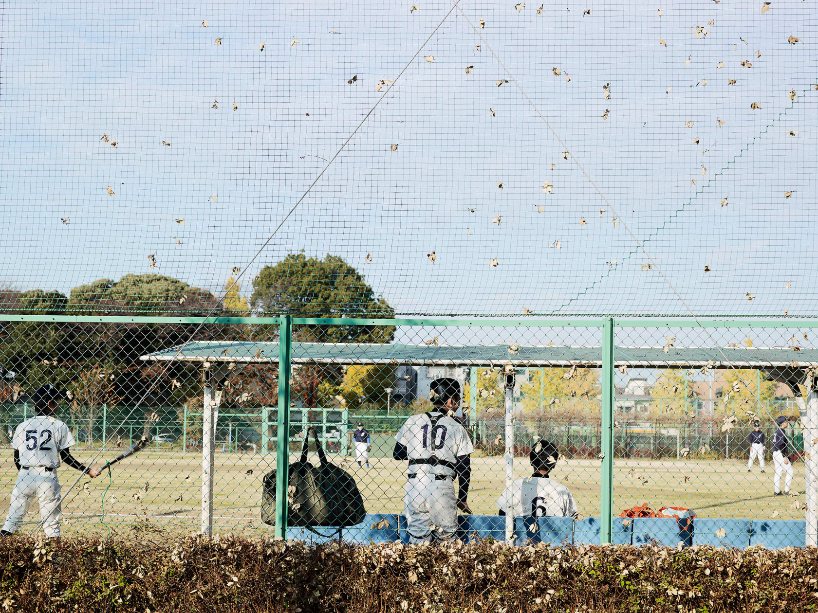 John MacLean, Hometown of Takashi Homma, Ottowa, 2014