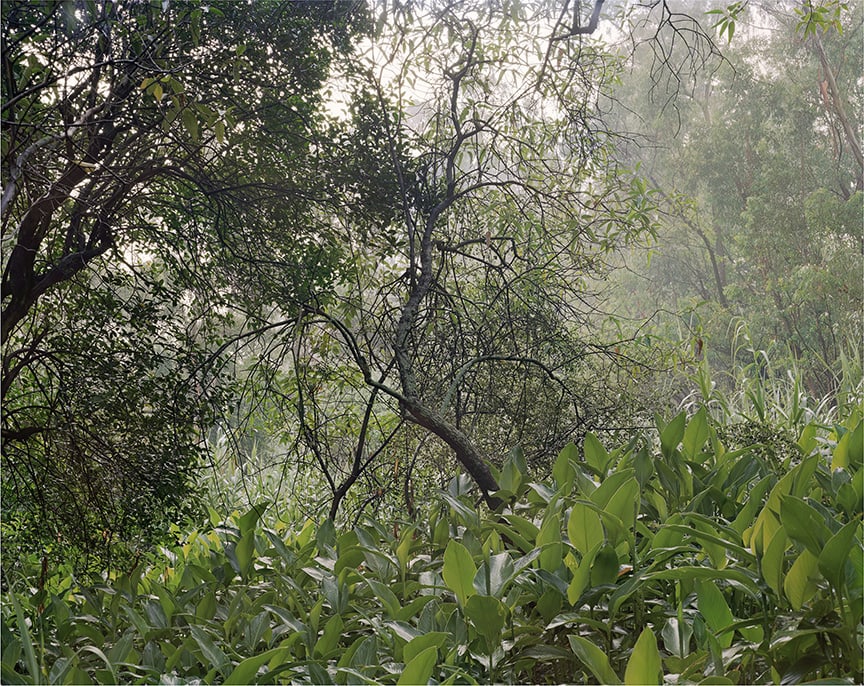 Janelle Lynch Untitled 9 (La Fosa Común), 2007