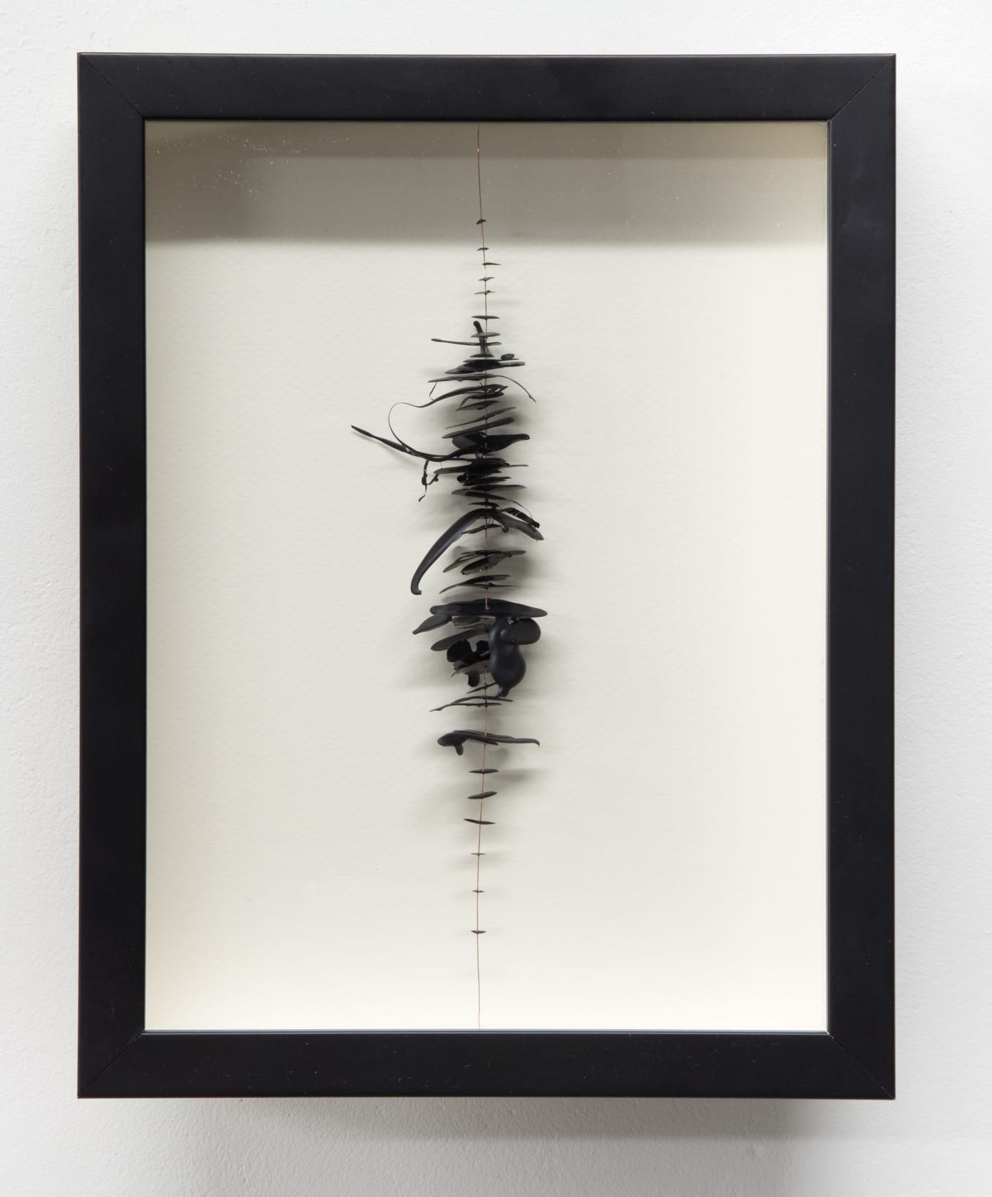 Vicenta Valenciano Drops on a Line, 2016