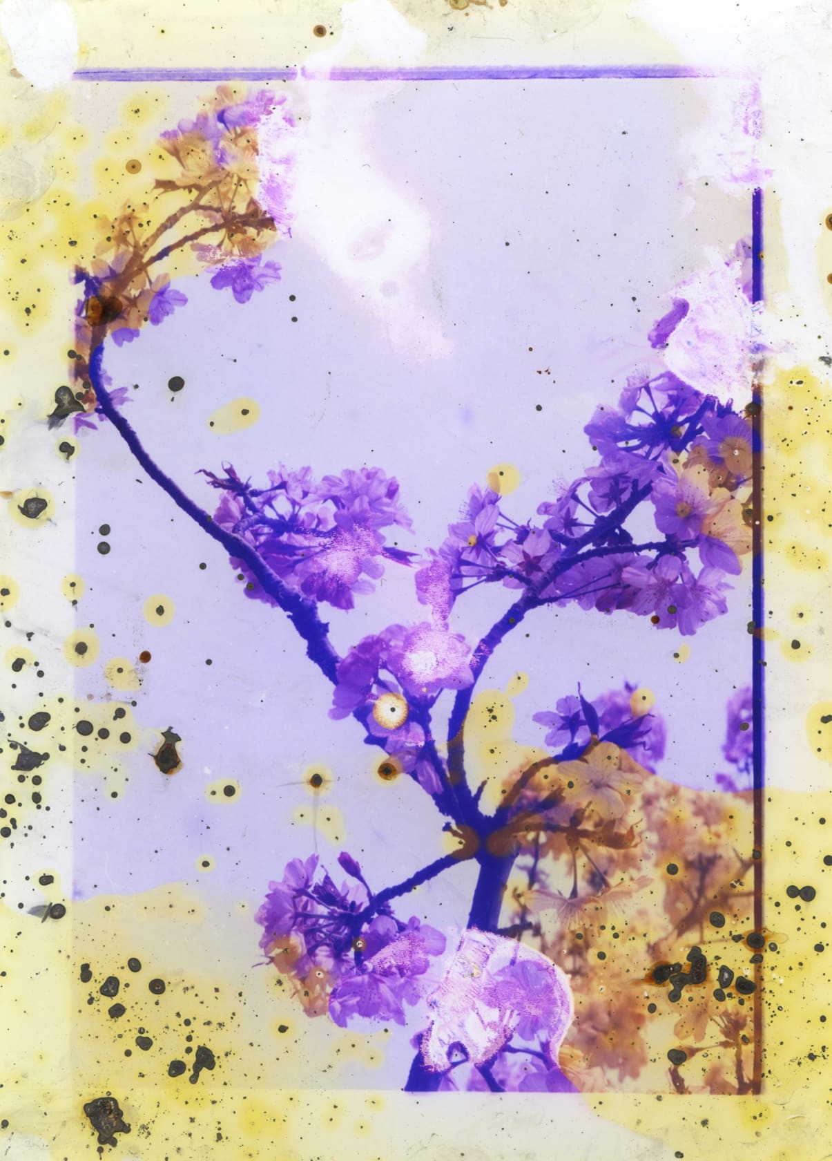 Melinda Gibson Untitled III, (Lunar Caustic), 2014