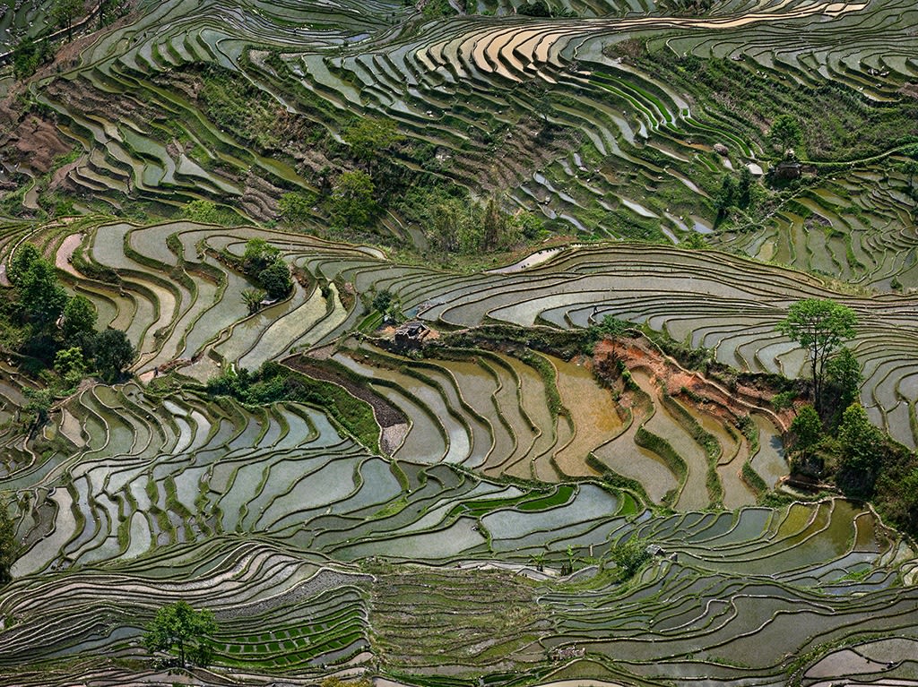 Edward Burtynsky, Rice Terraces #4, Western Yunnan Province, China, 2013