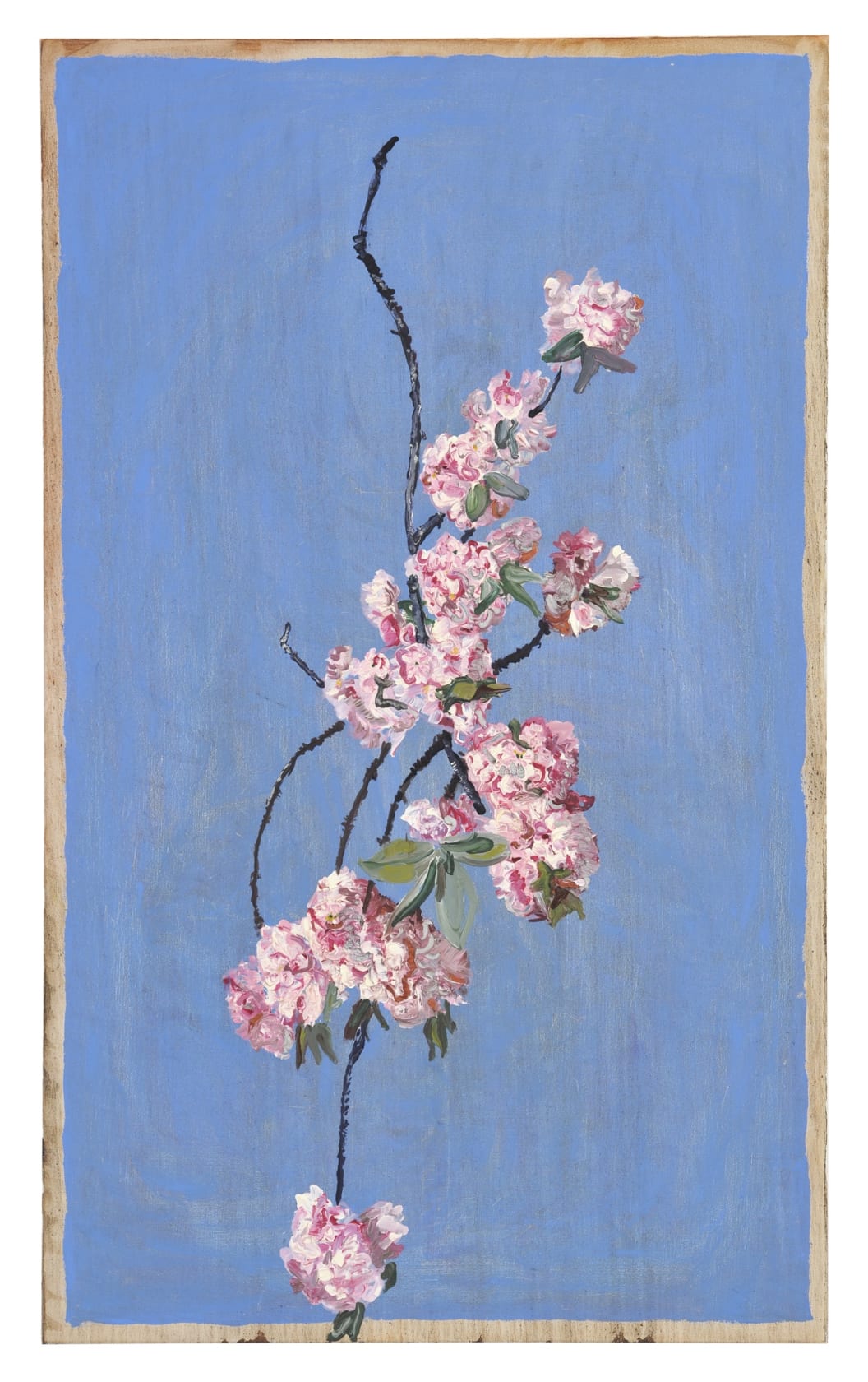 Peter Schmersal, Kirschzweige, 2013