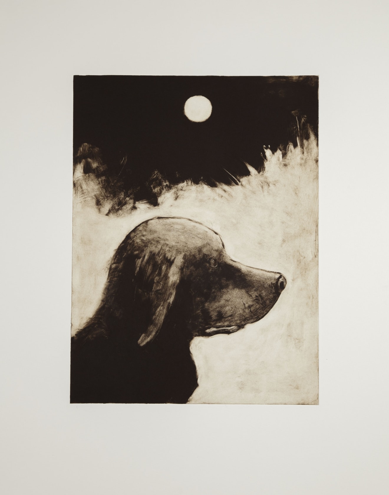 John Kirby Dog, 2016