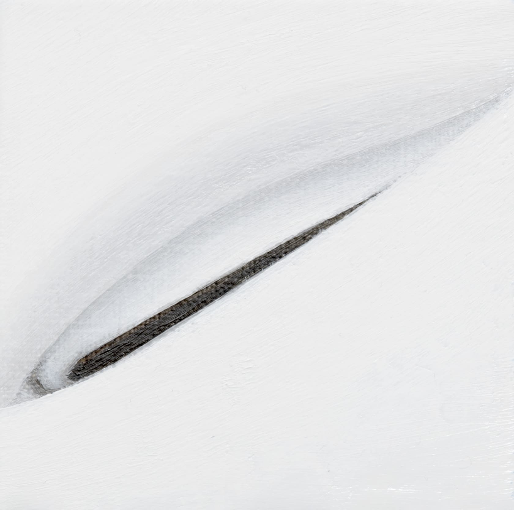 Alison Watt Quill I, 2016