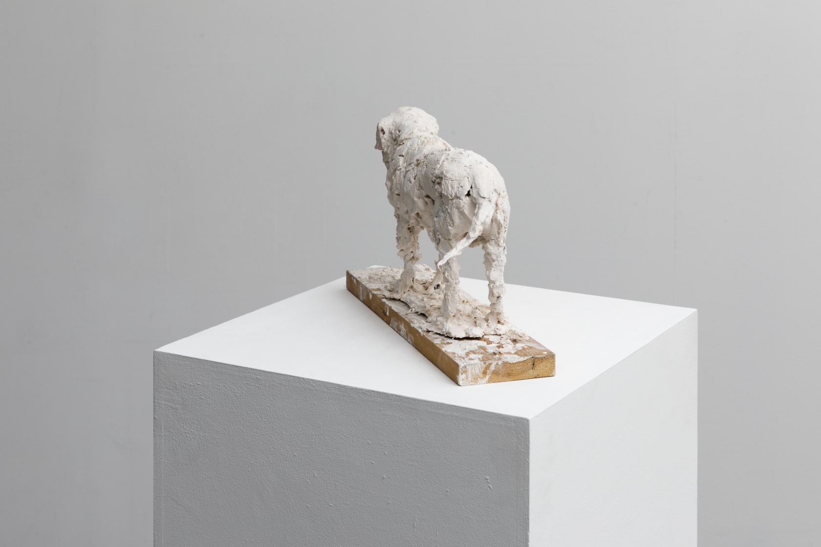Nicola Hicks, Plato 1, 2019