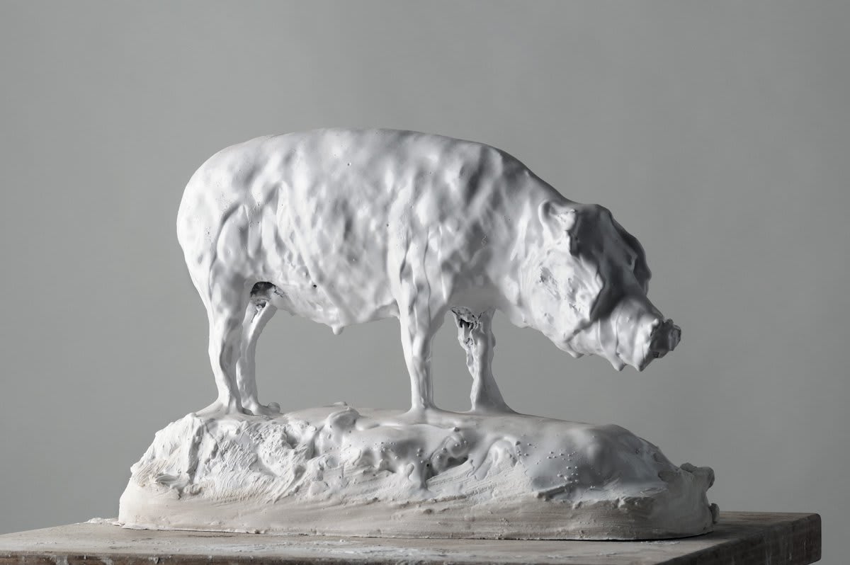 Nicola Hicks, Pig, 2009
