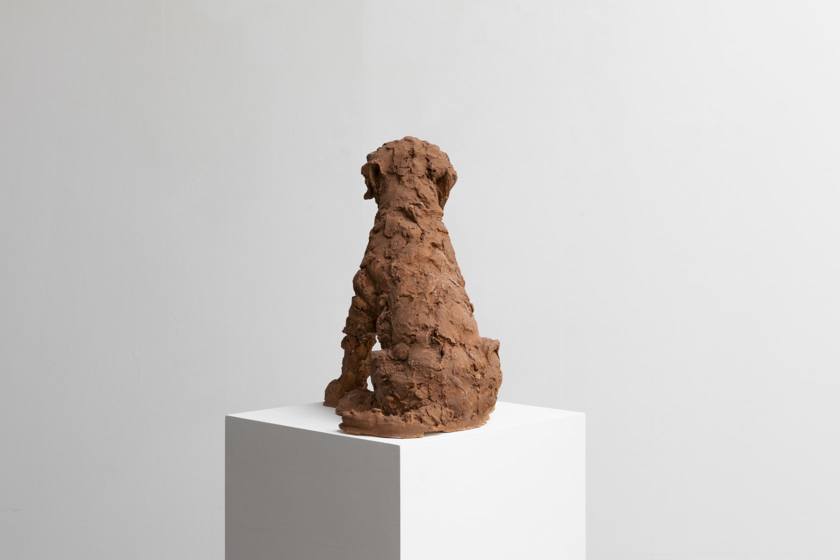 Nicola Hicks, Puppy, 2021