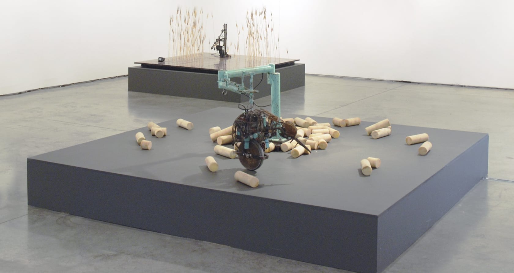 Tim Lewis, Jetsam, 2012