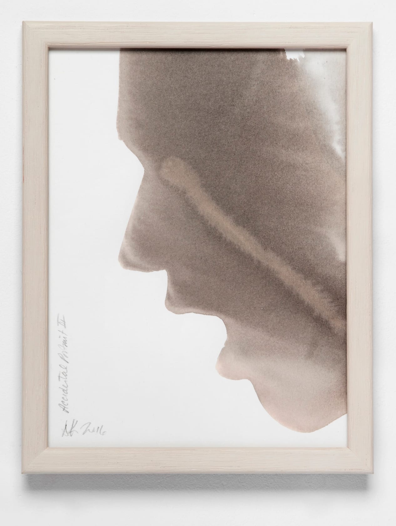 Dianne Kaufman Accidental Portrait III, 2016